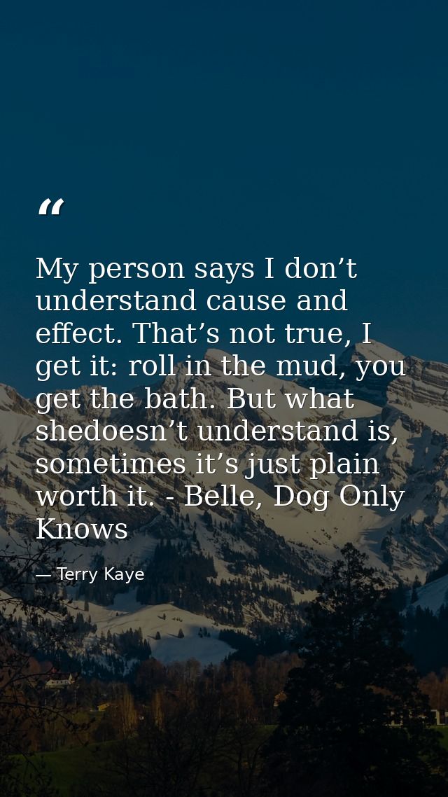My person says I don’t understand cause and effect. That’s not true, I get it: roll in the mud, you get the bath. But wh — Terry Kaye