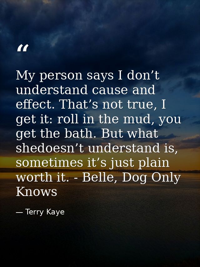 My person says I don’t understand cause and effect. That’s not true, I get it: roll in the mud, you get the bath. But wh — Terry Kaye