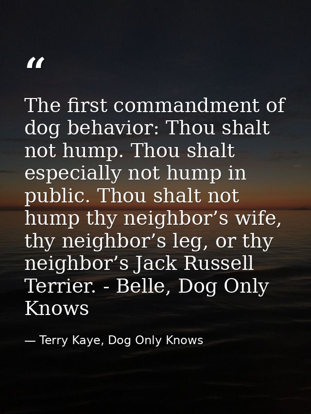 The first commandment of dog behavior: Thou shalt not hump. Thou shalt especially not hump in public. Thou shalt not hum — Terry Kaye, Dog Only Knows