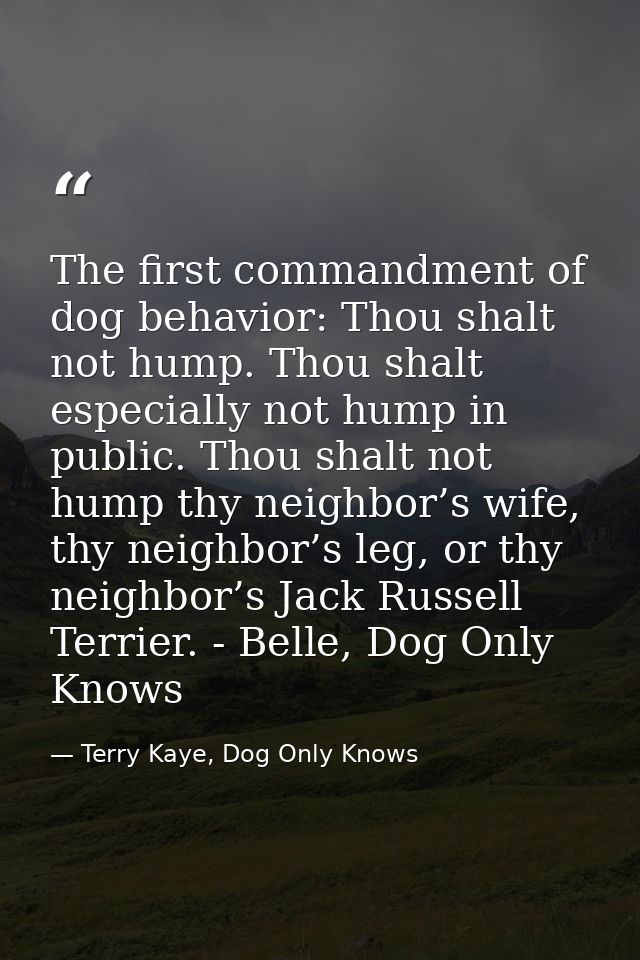 The first commandment of dog behavior: Thou shalt not hump. Thou shalt especially not hump in public. Thou shalt not hum — Terry Kaye, Dog Only Knows