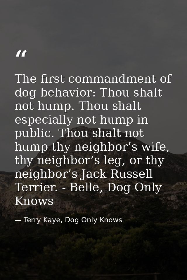 The first commandment of dog behavior: Thou shalt not hump. Thou shalt especially not hump in public. Thou shalt not hum — Terry Kaye, Dog Only Knows