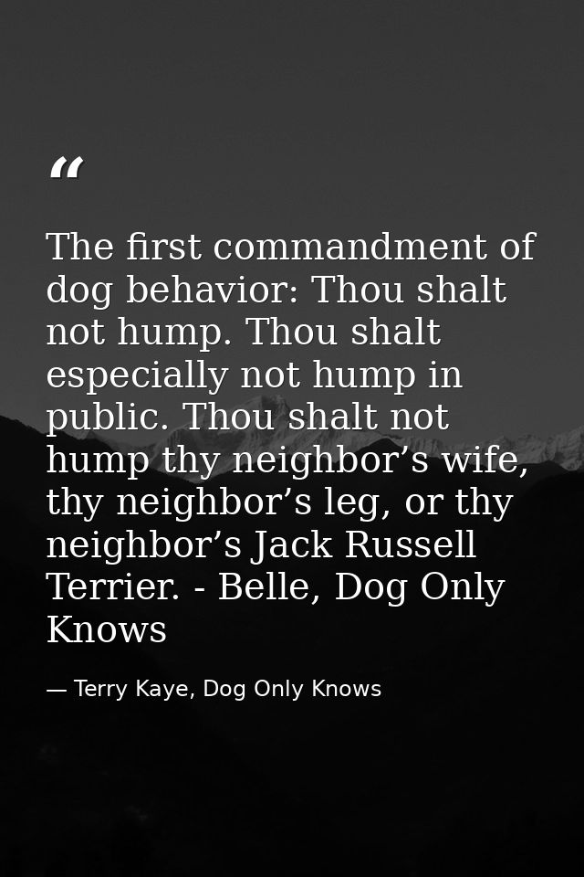 The first commandment of dog behavior: Thou shalt not hump. Thou shalt especially not hump in public. Thou shalt not hum — Terry Kaye, Dog Only Knows