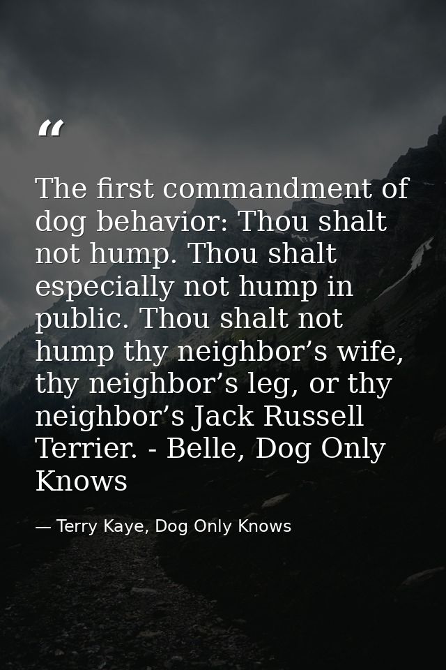 The first commandment of dog behavior: Thou shalt not hump. Thou shalt especially not hump in public. Thou shalt not hum — Terry Kaye, Dog Only Knows