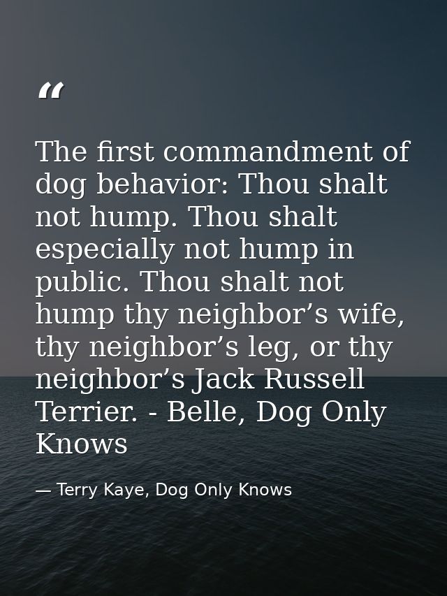 The first commandment of dog behavior: Thou shalt not hump. Thou shalt especially not hump in public. Thou shalt not hum — Terry Kaye, Dog Only Knows