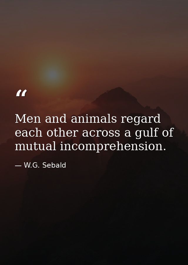 Men and animals regard each other across a gulf of mutual incomprehension. — W.G. Sebald