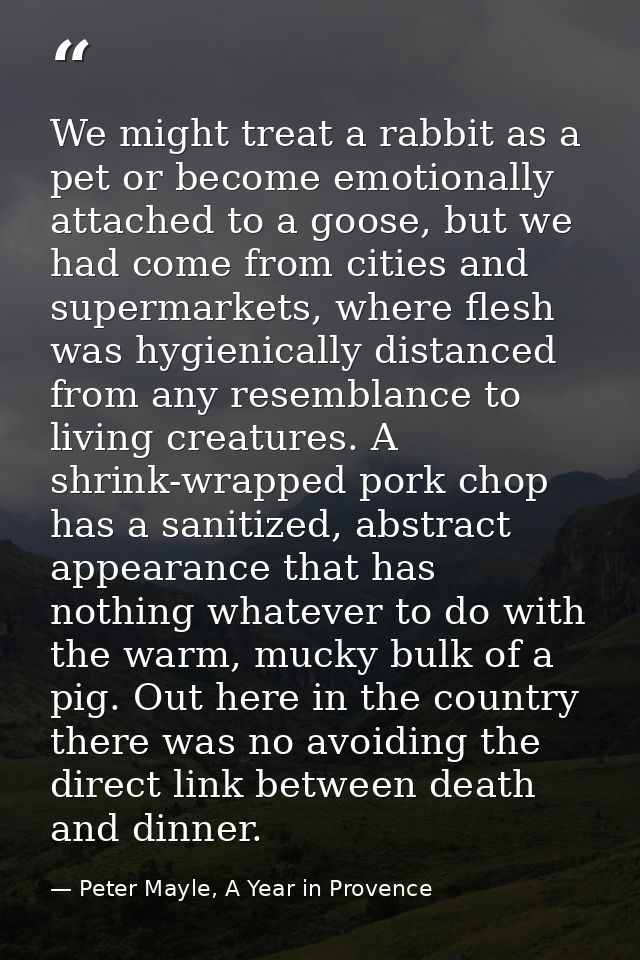 We might treat a rabbit as a pet or become emotionally attached to a goose, but we had come from cities and supermarkets — Peter Mayle, A Year in Provence