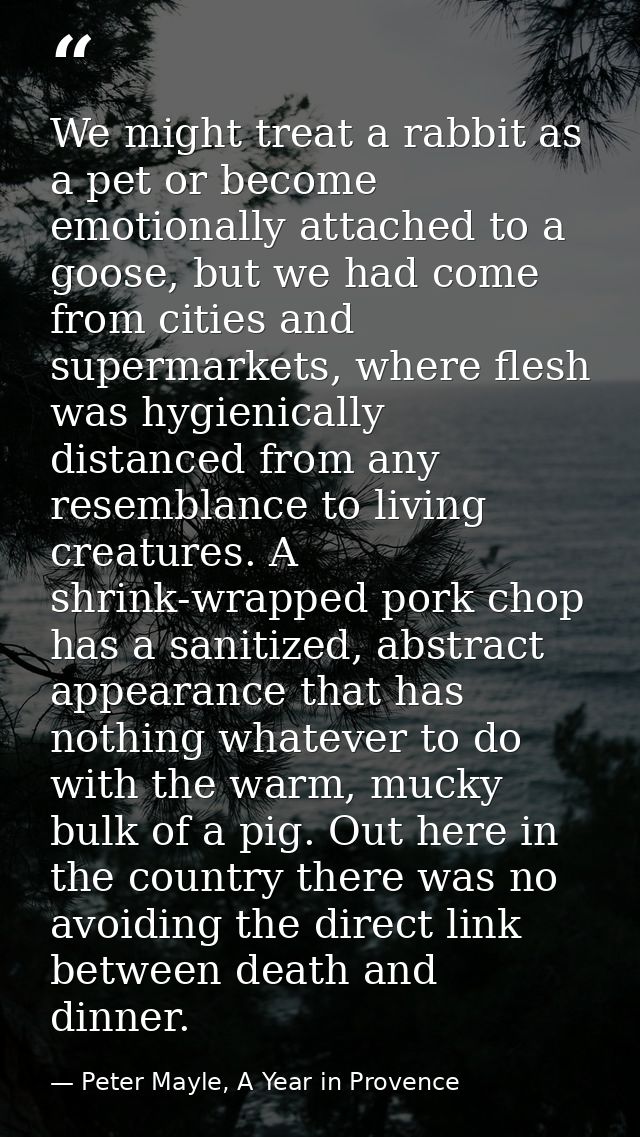We might treat a rabbit as a pet or become emotionally attached to a goose, but we had come from cities and supermarkets — Peter Mayle, A Year in Provence