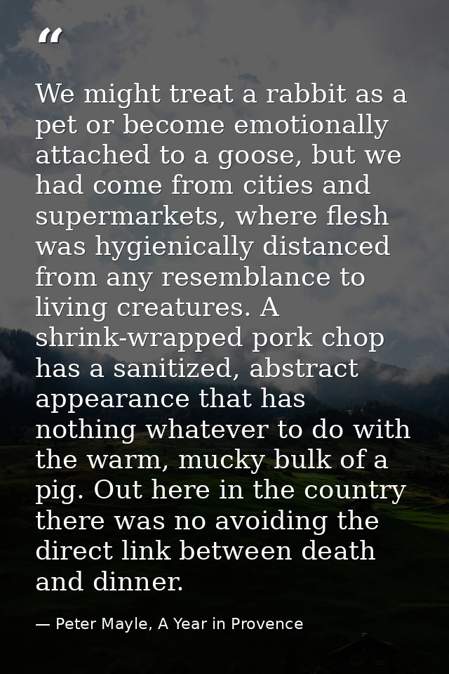 We might treat a rabbit as a pet or become emotionally attached to a goose, but we had come from cities and supermarkets — Peter Mayle, A Year in Provence