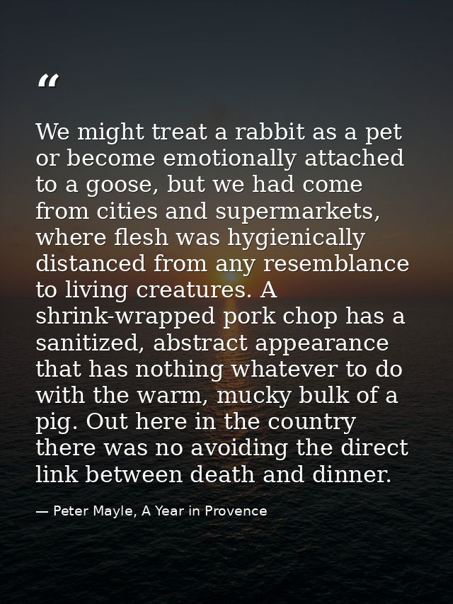 We might treat a rabbit as a pet or become emotionally attached to a goose, but we had come from cities and supermarkets — Peter Mayle, A Year in Provence