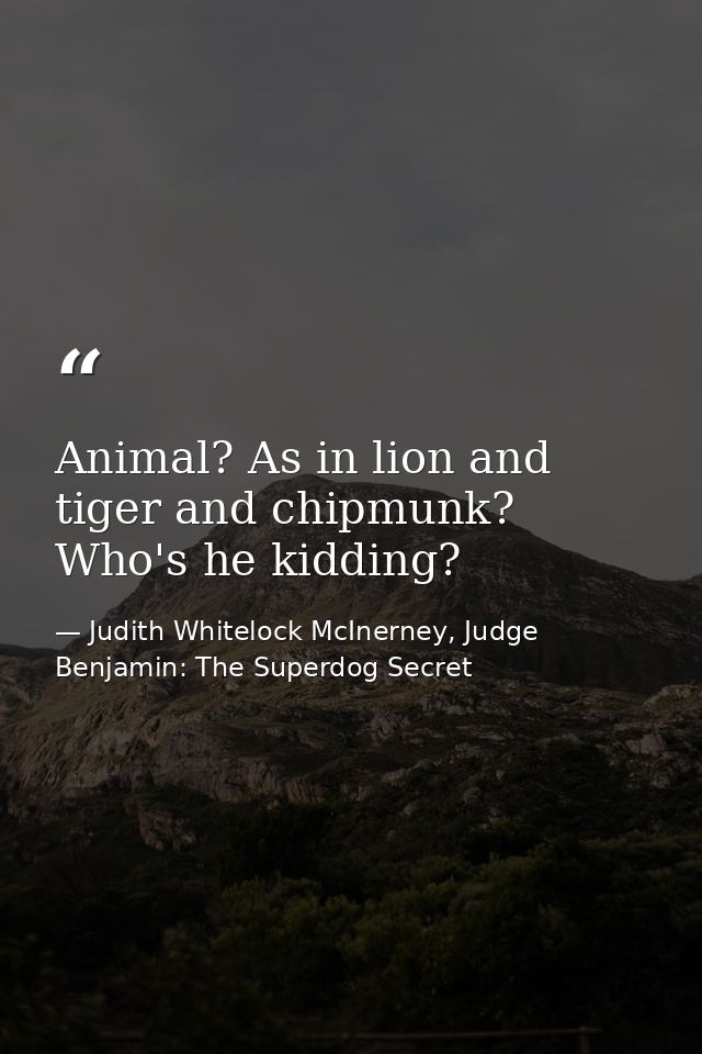 Animal? As in lion and tiger and chipmunk? Who's he kidding? — Judith Whitelock McInerney, Judge Benjamin: The Superdog Secret
