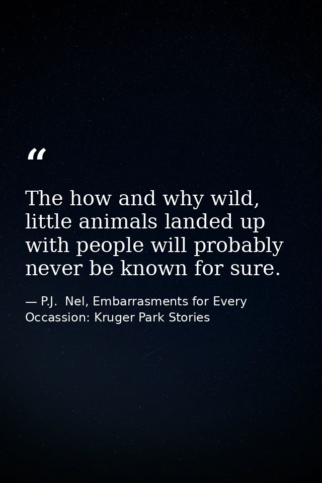 The how and why wild, little animals landed up with people will probably never be known for sure. — P.J.  Nel, Embarrasments for Every Occassion: Kruger Park Stories