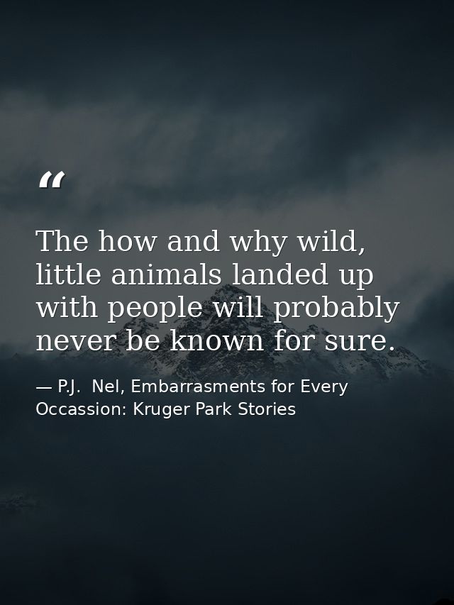 The how and why wild, little animals landed up with people will probably never be known for sure. — P.J.  Nel, Embarrasments for Every Occassion: Kruger Park Stories