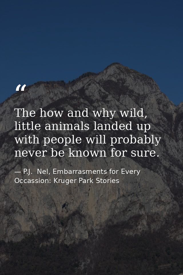 The how and why wild, little animals landed up with people will probably never be known for sure. — P.J.  Nel, Embarrasments for Every Occassion: Kruger Park Stories