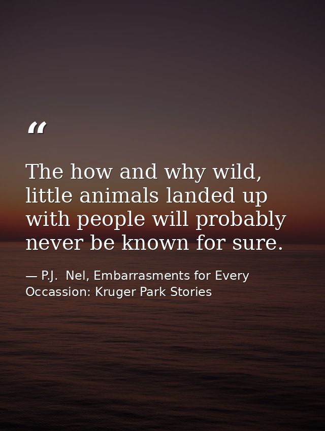 The how and why wild, little animals landed up with people will probably never be known for sure. — P.J.  Nel, Embarrasments for Every Occassion: Kruger Park Stories