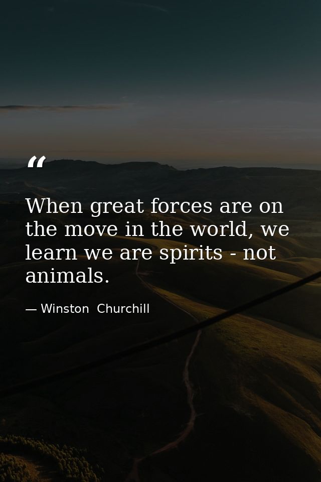 When great forces are on the move in the world, we learn we are spirits - not animals. — Winston  Churchill