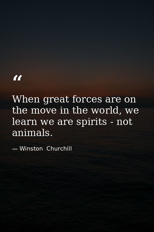 When great forces are on the move in the world, we learn we are spirits - not animals. — Winston  Churchill