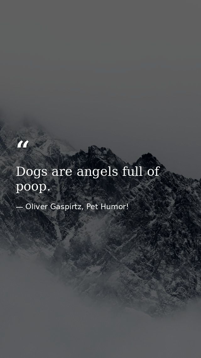 Dogs are angels full of poop. — Oliver Gaspirtz, Pet Humor!