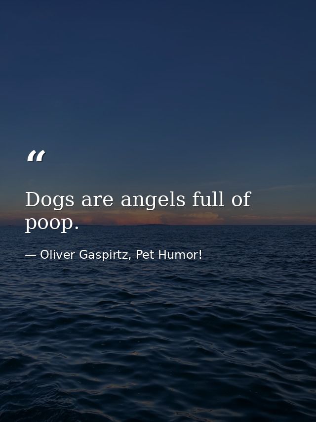 Dogs are angels full of poop. — Oliver Gaspirtz, Pet Humor!