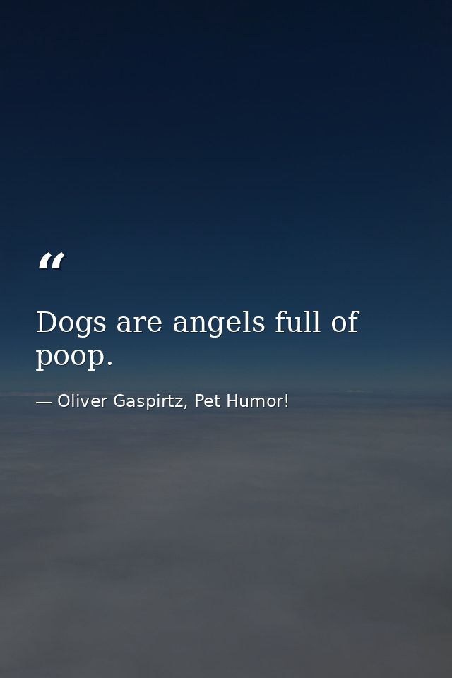 Dogs are angels full of poop. — Oliver Gaspirtz, Pet Humor!
