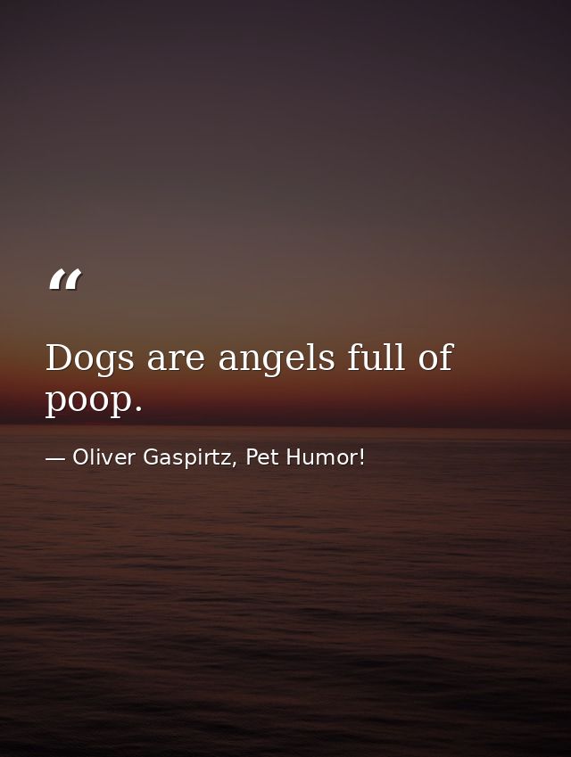 Dogs are angels full of poop. — Oliver Gaspirtz, Pet Humor!
