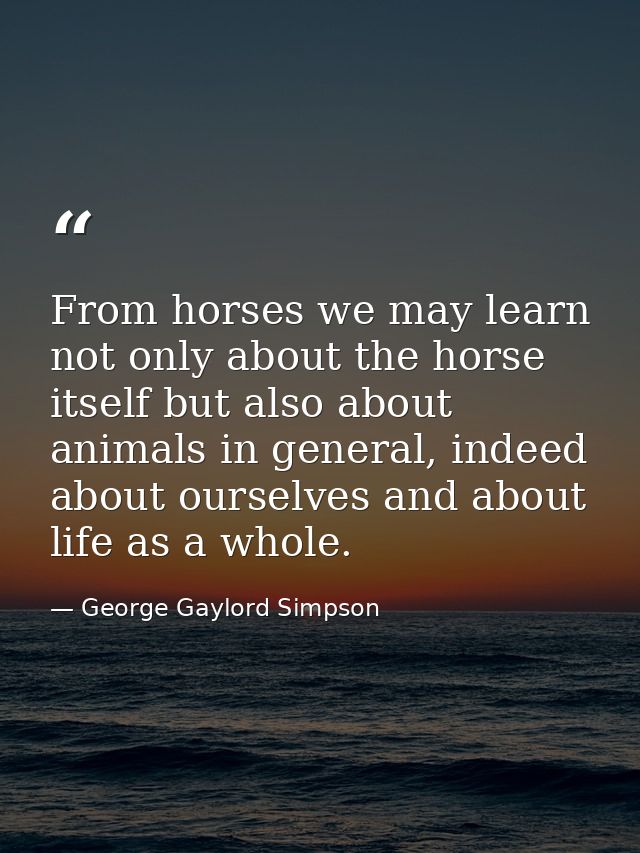 From horses we may learn not only about the horse itself but also about animals in general, indeed about ourselves and a — George Gaylord Simpson
