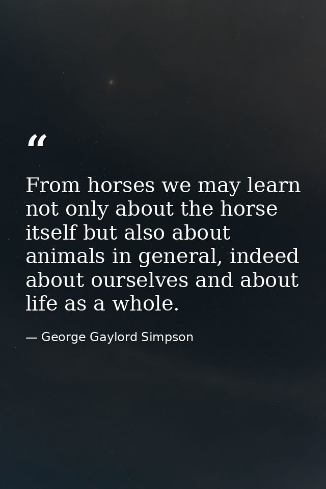 From horses we may learn not only about the horse itself but also about animals in general, indeed about ourselves and a — George Gaylord Simpson