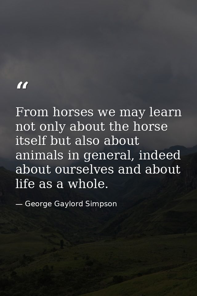 From horses we may learn not only about the horse itself but also about animals in general, indeed about ourselves and a — George Gaylord Simpson