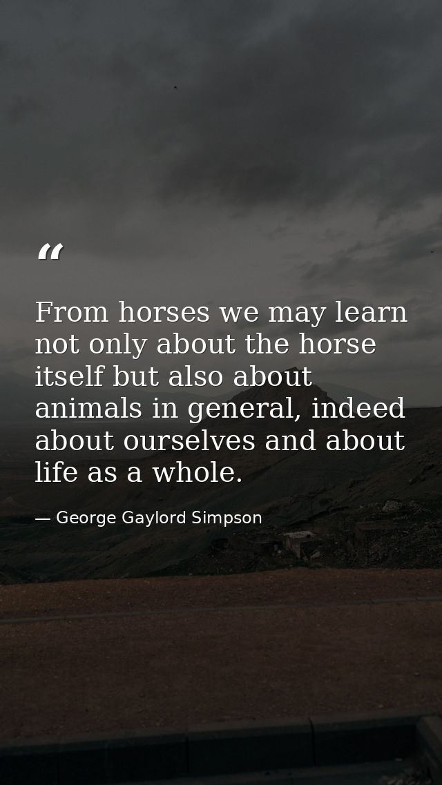 From horses we may learn not only about the horse itself but also about animals in general, indeed about ourselves and a — George Gaylord Simpson