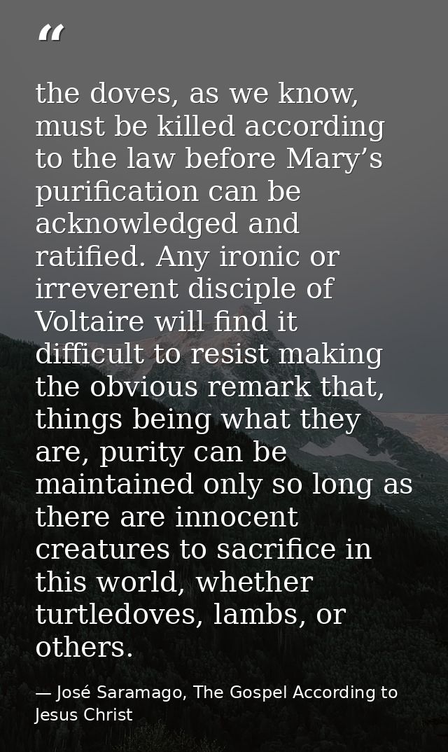 the doves, as we know, must be killed according to the law before Mary’s purification can be acknowledged and ratified.  — José Saramago, The Gospel According to Jesus Christ