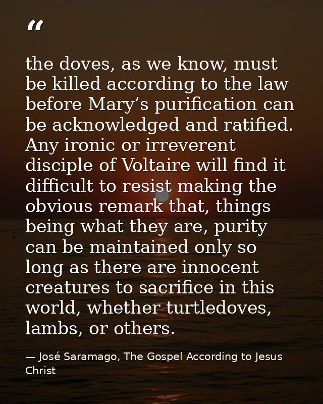 the doves, as we know, must be killed according to the law before Mary’s purification can be acknowledged and ratified.  — José Saramago, The Gospel According to Jesus Christ