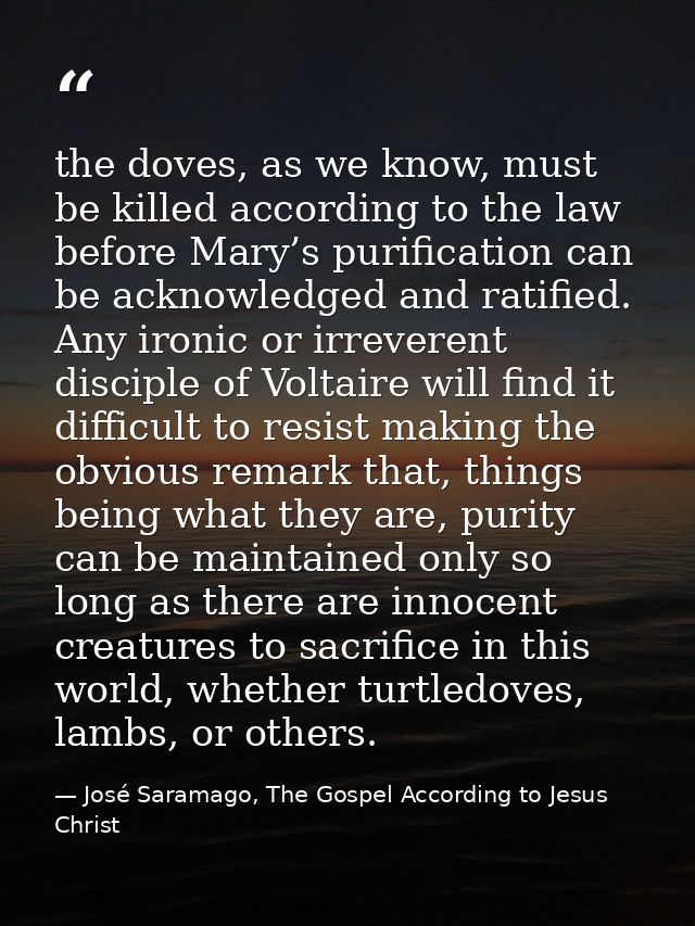 the doves, as we know, must be killed according to the law before Mary’s purification can be acknowledged and ratified.  — José Saramago, The Gospel According to Jesus Christ