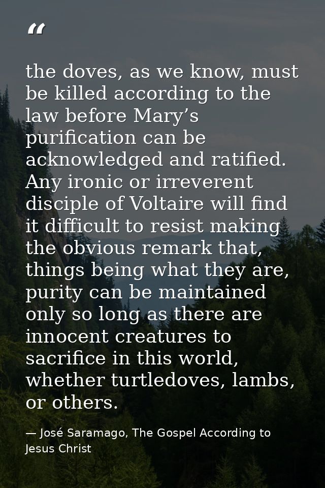 the doves, as we know, must be killed according to the law before Mary’s purification can be acknowledged and ratified.  — José Saramago, The Gospel According to Jesus Christ
