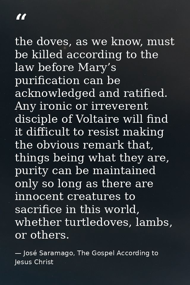 the doves, as we know, must be killed according to the law before Mary’s purification can be acknowledged and ratified.  — José Saramago, The Gospel According to Jesus Christ