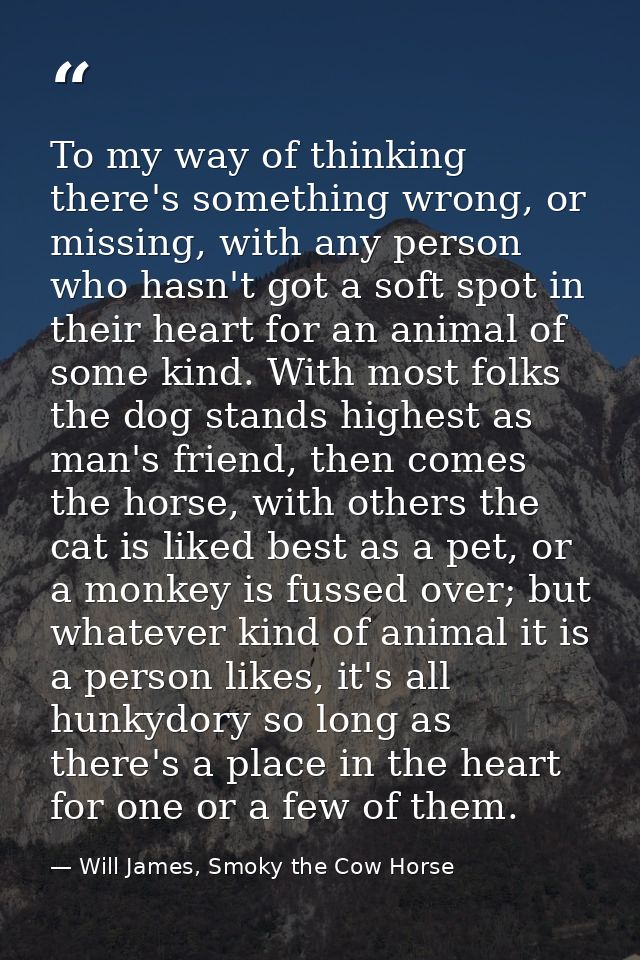 To my way of thinking there's something wrong, or missing, with any person who hasn't got a soft spot in their heart for — Will James, Smoky the Cow Horse