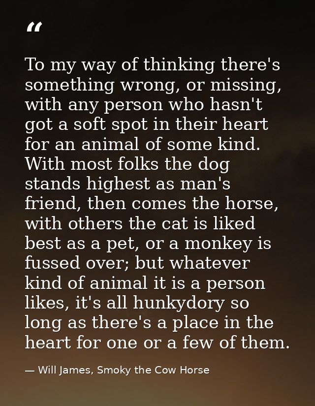 To my way of thinking there's something wrong, or missing, with any person who hasn't got a soft spot in their heart for — Will James, Smoky the Cow Horse