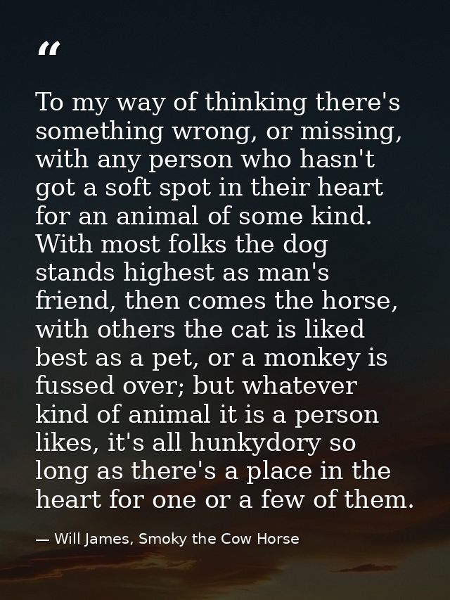 To my way of thinking there's something wrong, or missing, with any person who hasn't got a soft spot in their heart for — Will James, Smoky the Cow Horse