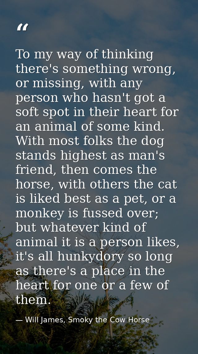 To my way of thinking there's something wrong, or missing, with any person who hasn't got a soft spot in their heart for — Will James, Smoky the Cow Horse