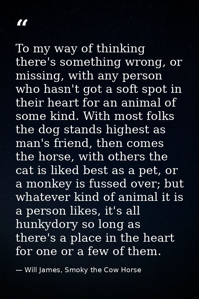To my way of thinking there's something wrong, or missing, with any person who hasn't got a soft spot in their heart for — Will James, Smoky the Cow Horse