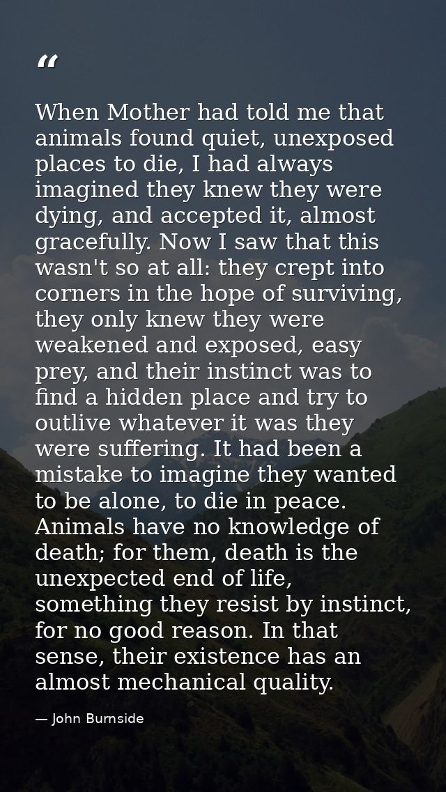 When Mother had told me that animals found quiet, unexposed places to die, I had always imagined they knew they were dyi — John Burnside