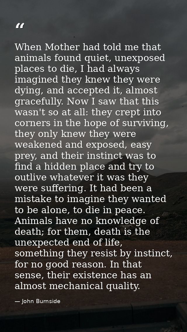 When Mother had told me that animals found quiet, unexposed places to die, I had always imagined they knew they were dyi — John Burnside