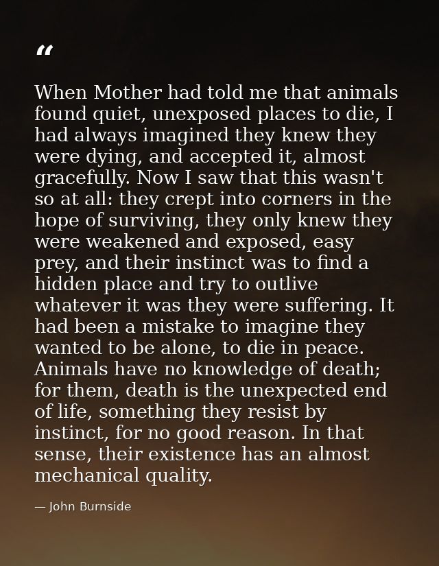 When Mother had told me that animals found quiet, unexposed places to die, I had always imagined they knew they were dyi — John Burnside