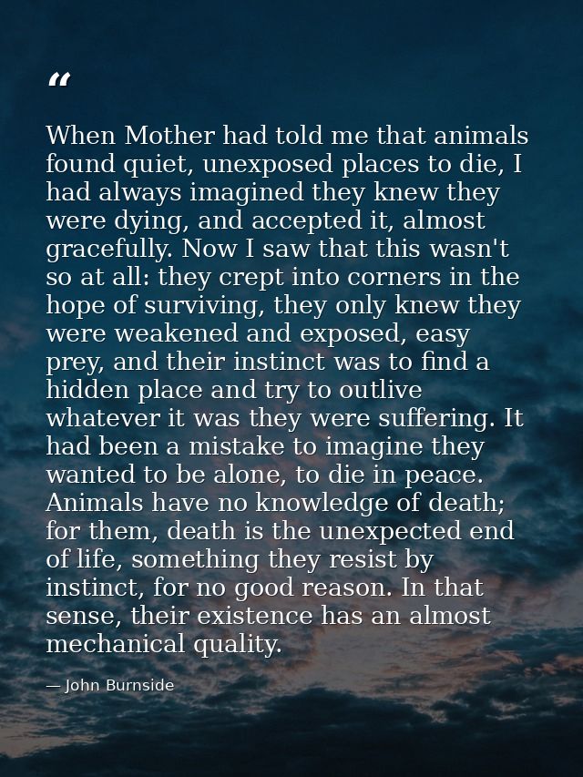 When Mother had told me that animals found quiet, unexposed places to die, I had always imagined they knew they were dyi — John Burnside