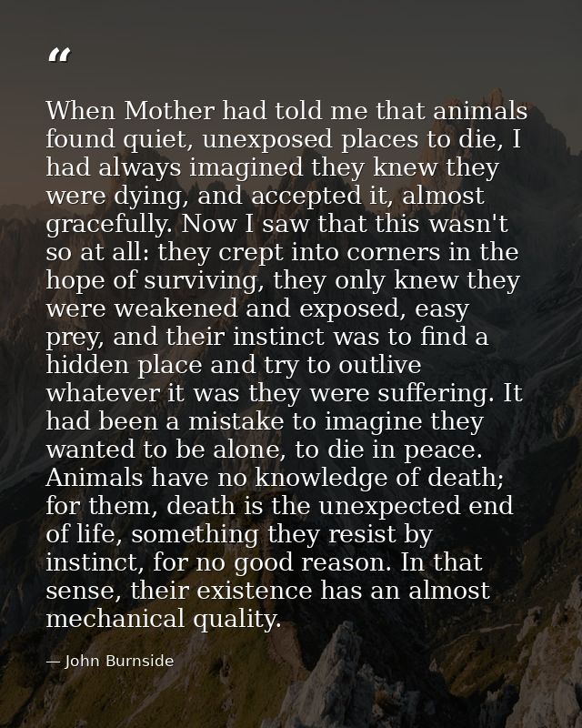 When Mother had told me that animals found quiet, unexposed places to die, I had always imagined they knew they were dyi — John Burnside