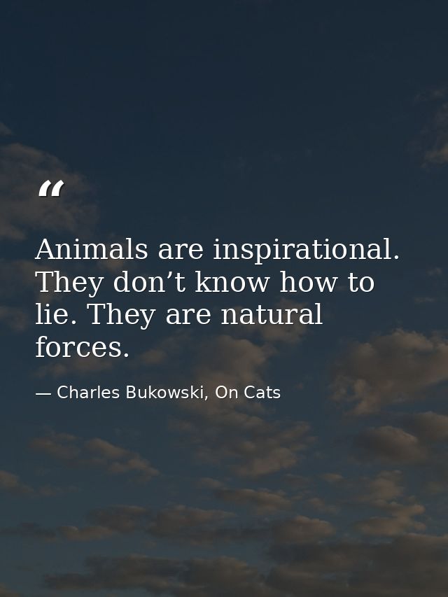 Animals are inspirational. They don’t know how to lie. They are natural forces. — Charles Bukowski, On Cats