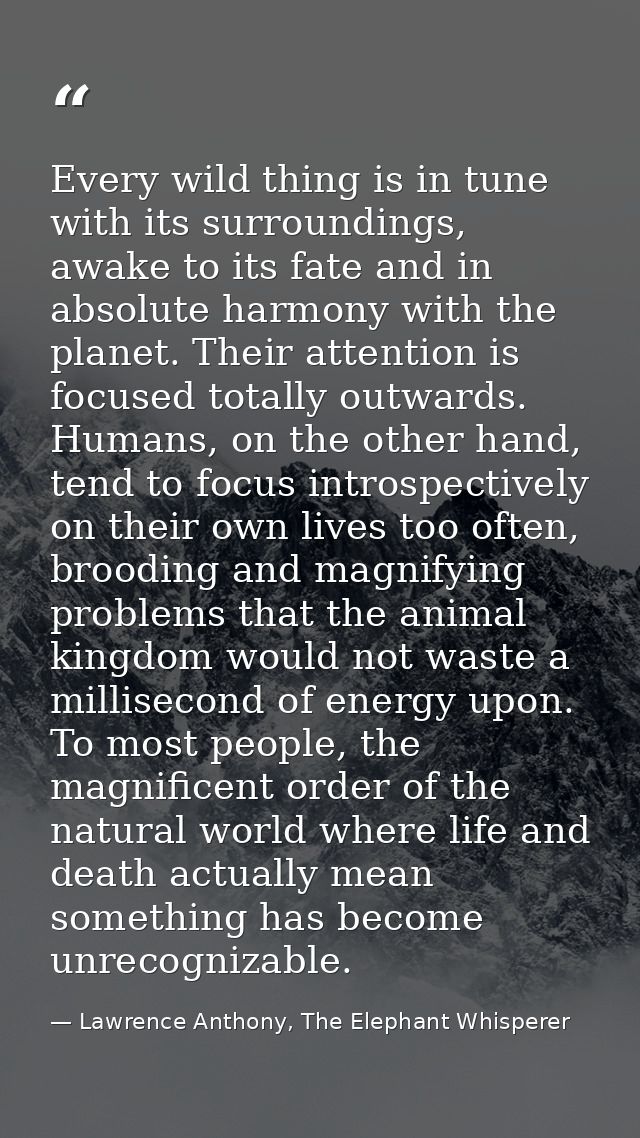 Every wild thing is in tune with its surroundings, awake to its fate and in absolute harmony with the planet. Their atte — Lawrence Anthony, The Elephant Whisperer