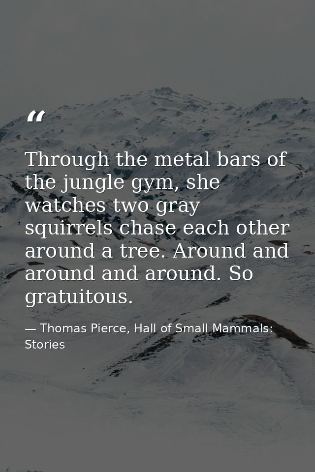 Through the metal bars of the jungle gym, she watches two gray squirrels chase each other around a tree. Around and arou — Thomas Pierce, Hall of Small Mammals: Stories