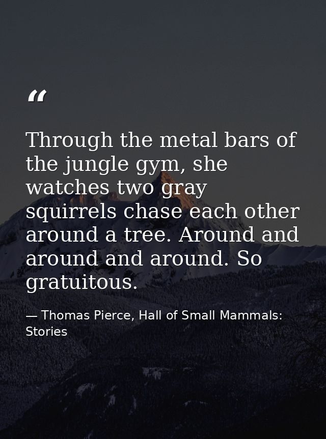 Through the metal bars of the jungle gym, she watches two gray squirrels chase each other around a tree. Around and arou — Thomas Pierce, Hall of Small Mammals: Stories