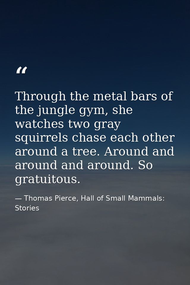 Through the metal bars of the jungle gym, she watches two gray squirrels chase each other around a tree. Around and arou — Thomas Pierce, Hall of Small Mammals: Stories