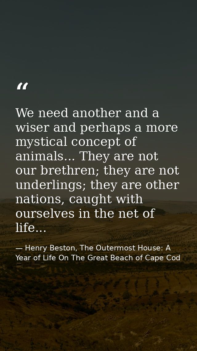We need another and a wiser and perhaps a more mystical concept of animals... They are not our brethren; they are not un — Henry Beston, The Outermost House: A Year of Life On The Great Beach of Cape Cod