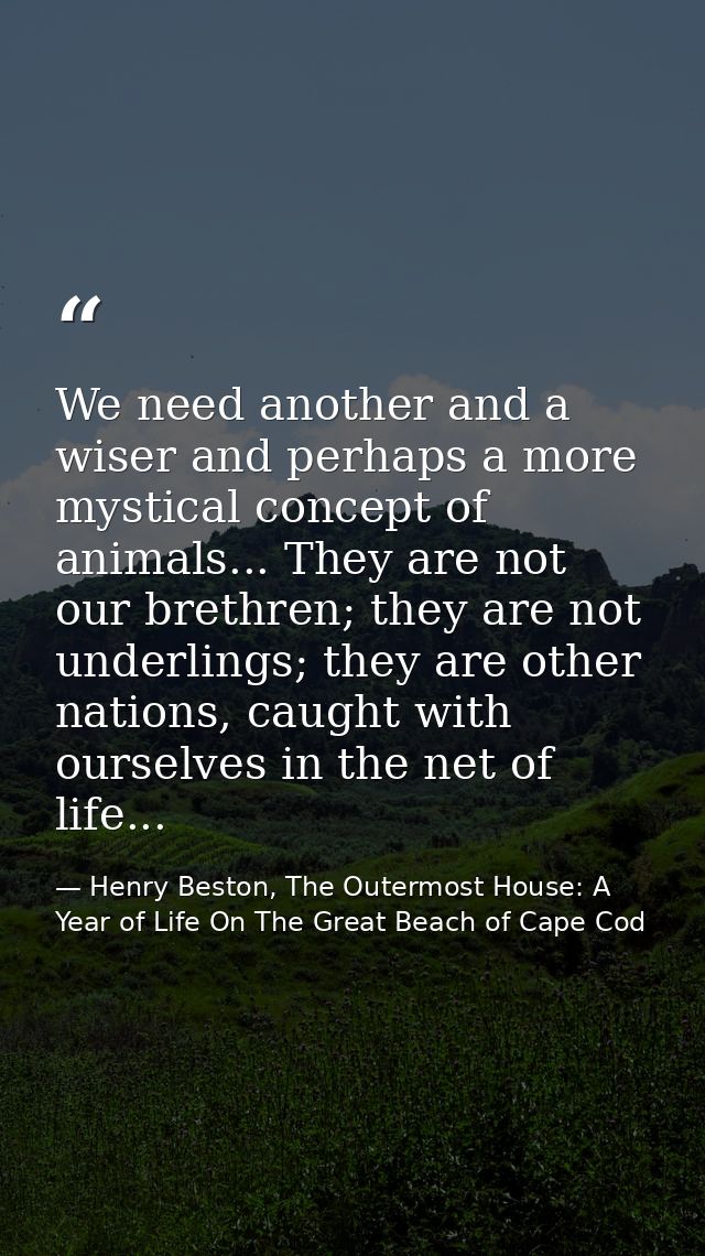 We need another and a wiser and perhaps a more mystical concept of animals... They are not our brethren; they are not un — Henry Beston, The Outermost House: A Year of Life On The Great Beach of Cape Cod